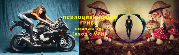 спайс Арсеньев