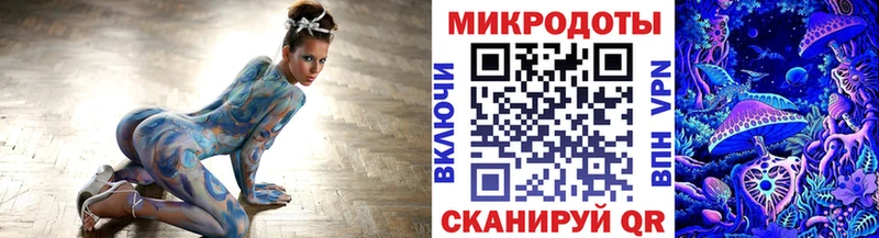 Псилоцибиновые грибы Psilocybine cubensis  Пучеж 